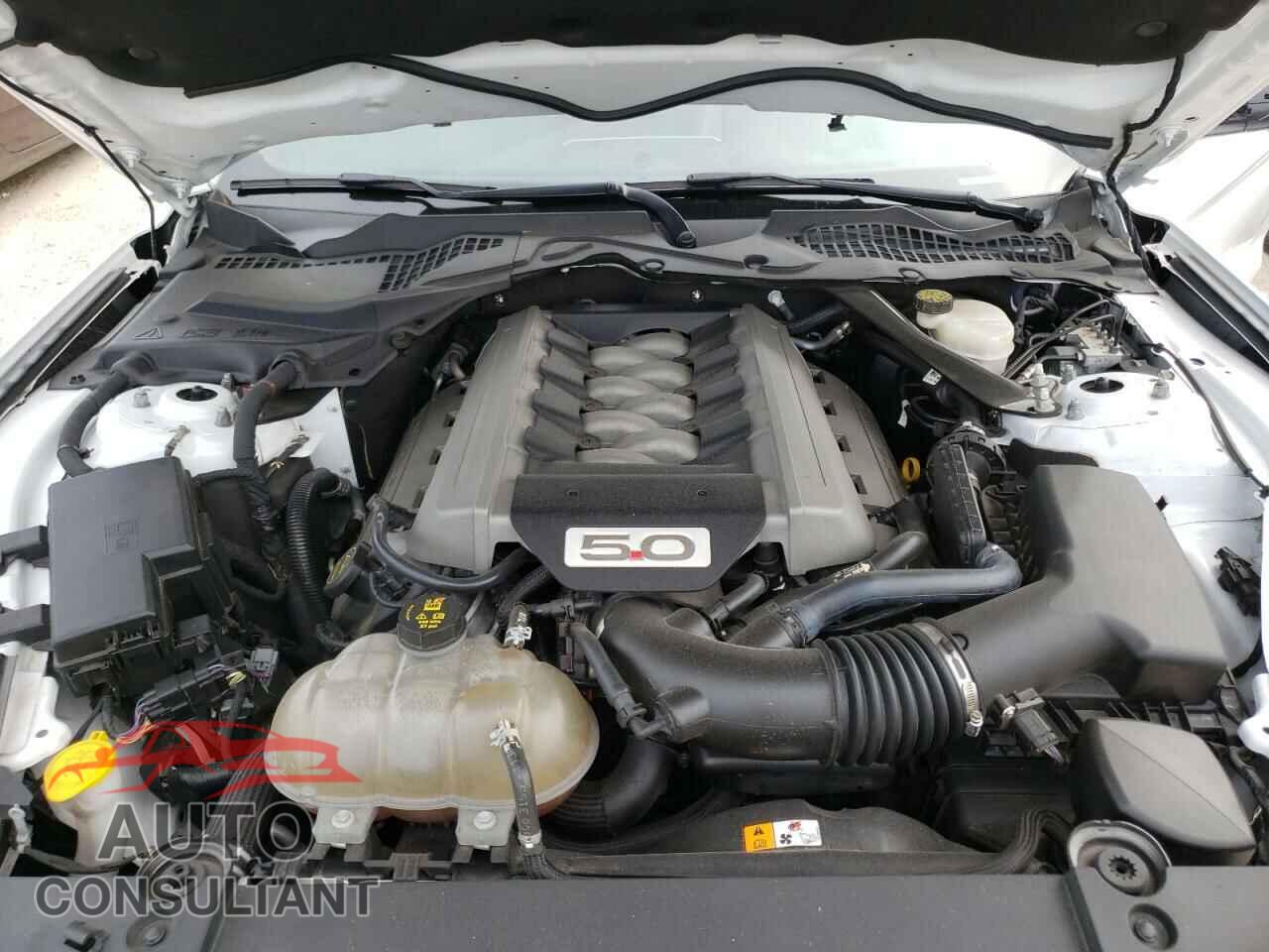 FORD MUSTANG 2016 - 1FA6P8CF8G5259374