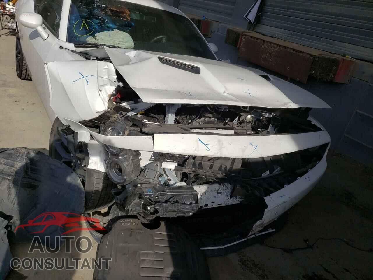 DODGE CHALLENGER 2019 - 2C3CDZAG0KH507517
