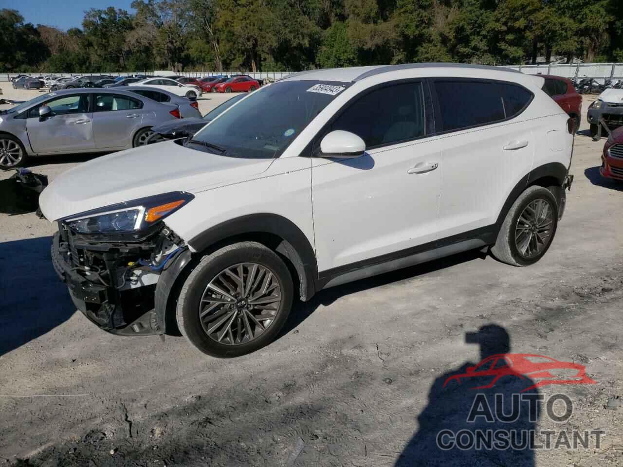 HYUNDAI TUCSON 2019 - KM8J33AL8KU897288
