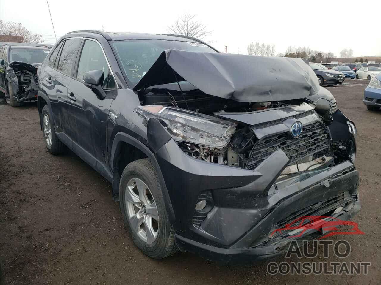TOYOTA RAV4 2019 - 2T3RWRFV3KW001557