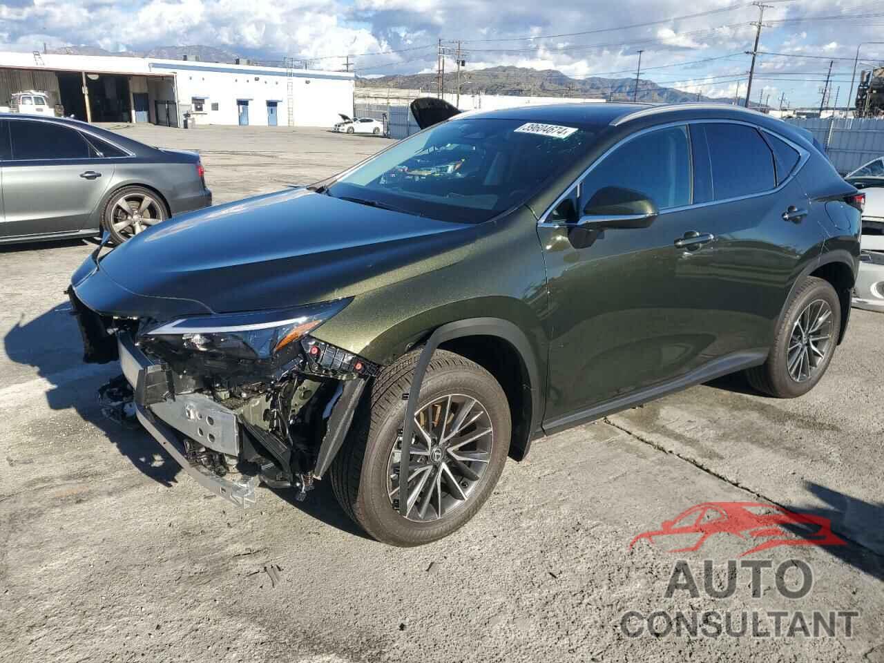 LEXUS NX 350H BA 2024 - 2T2GKCEZ1RC024856