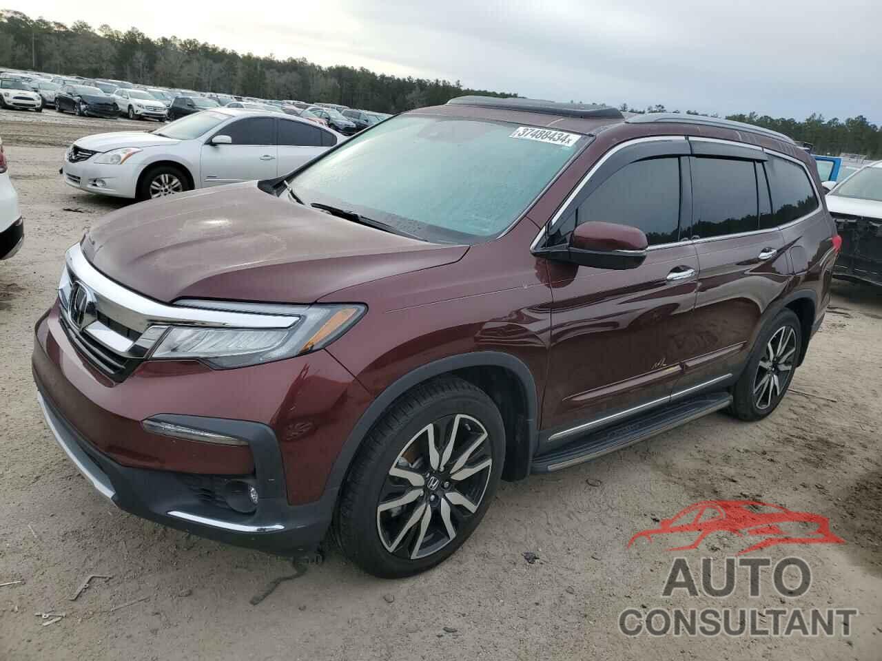 HONDA PILOT 2021 - 5FNYF5H60MB017850