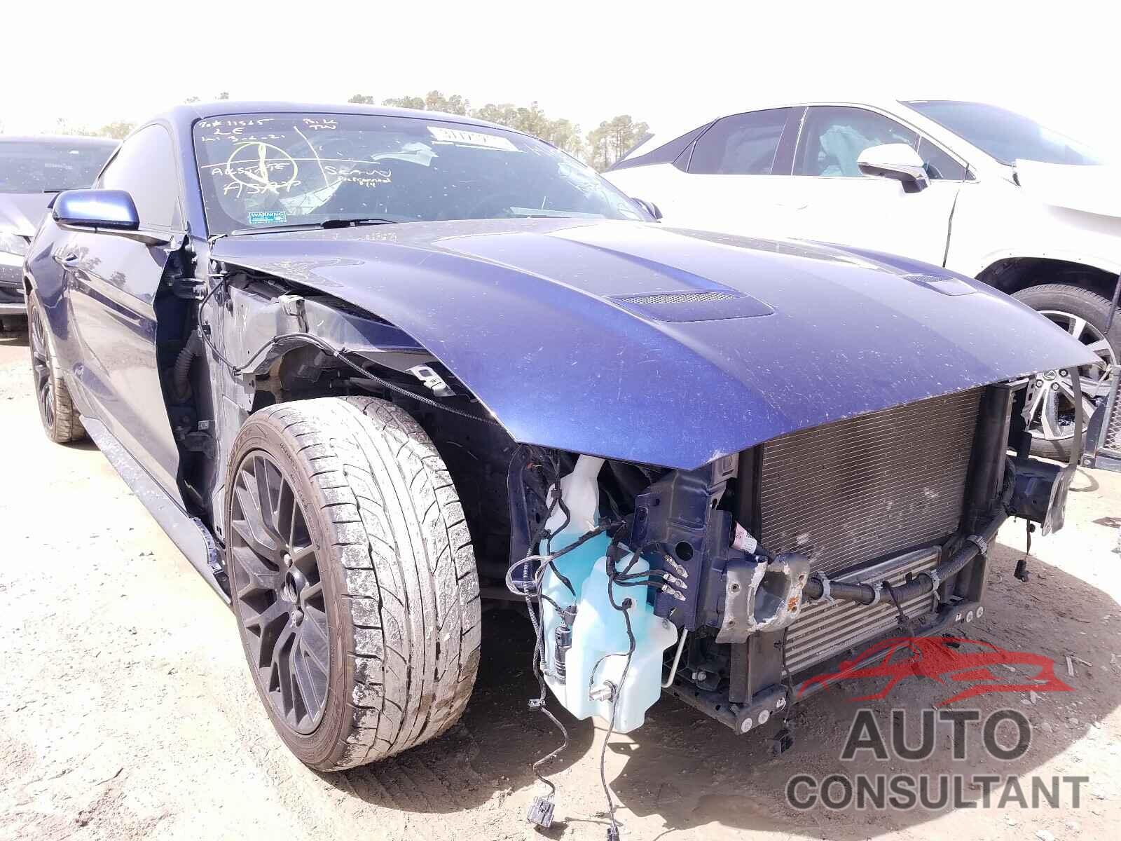 FORD MUSTANG 2019 - 1FA6P8TH3K5192497