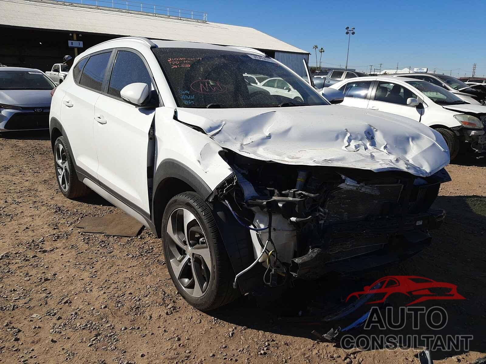 HYUNDAI TUCSON 2017 - KM8J33A25HU486494