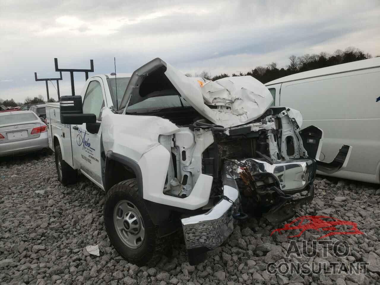 CHEVROLET SILVERADO 2020 - 1GC0YLE72LF193950