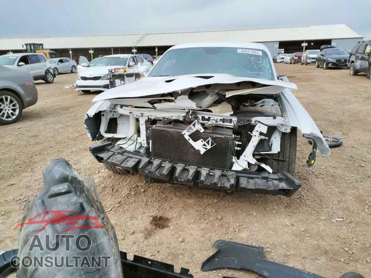 DODGE CHALLENGER 2019 - 2C3CDZBTXKH603683