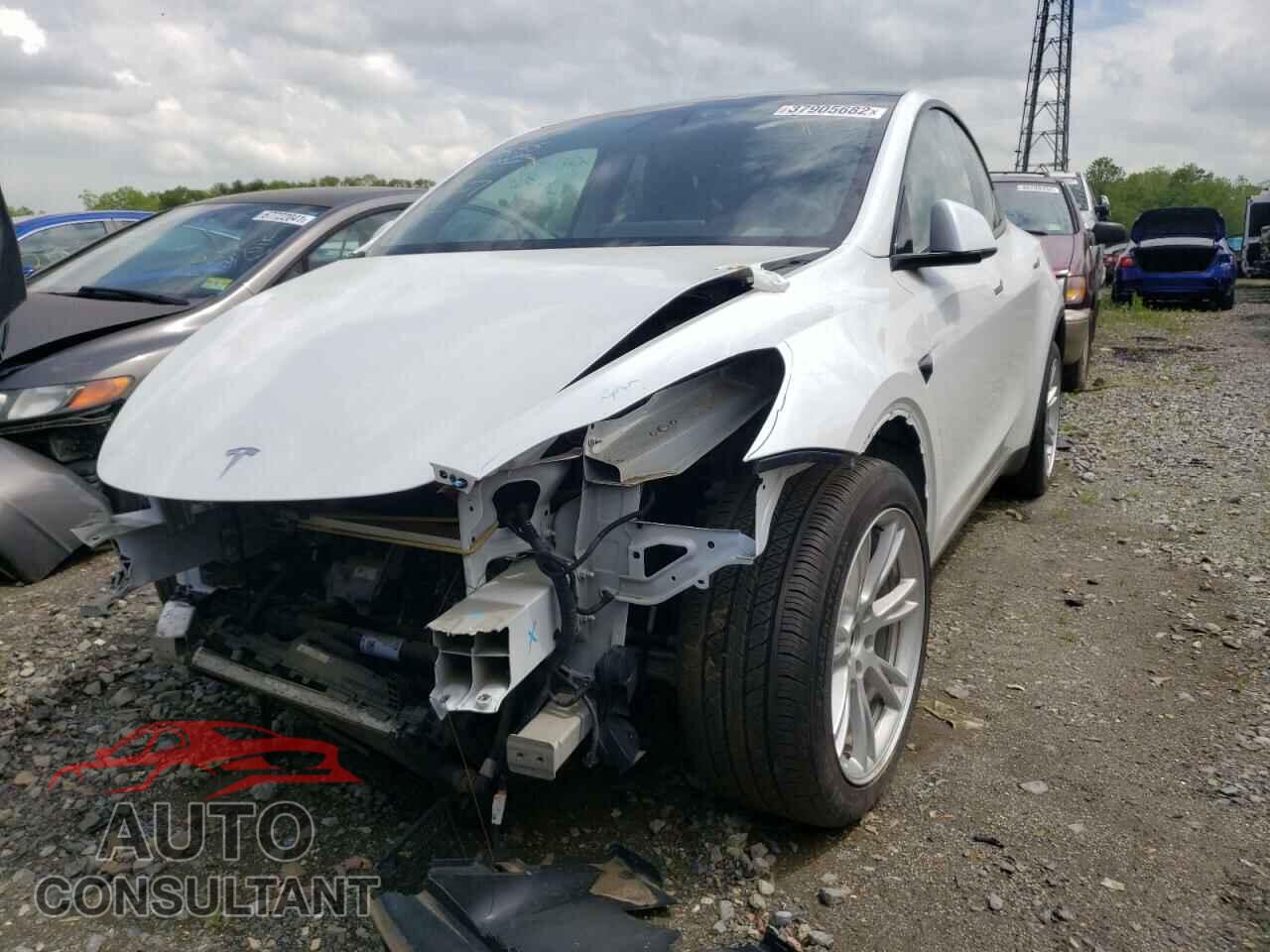 TESLA MODEL Y 2021 - 5YJYGDEE3MF077706
