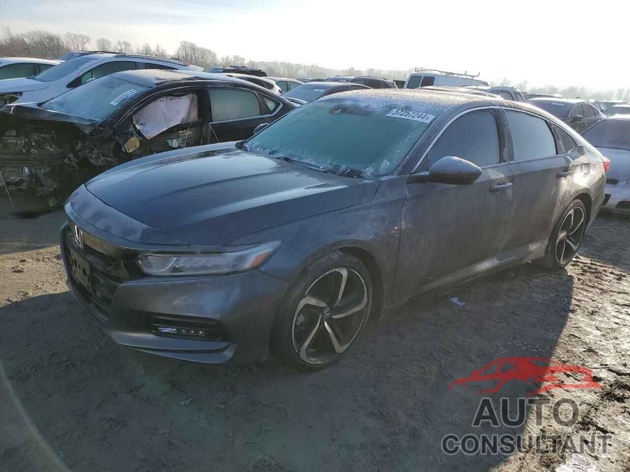 HONDA ACCORD 2019 - 1HGCV1F35KA024816