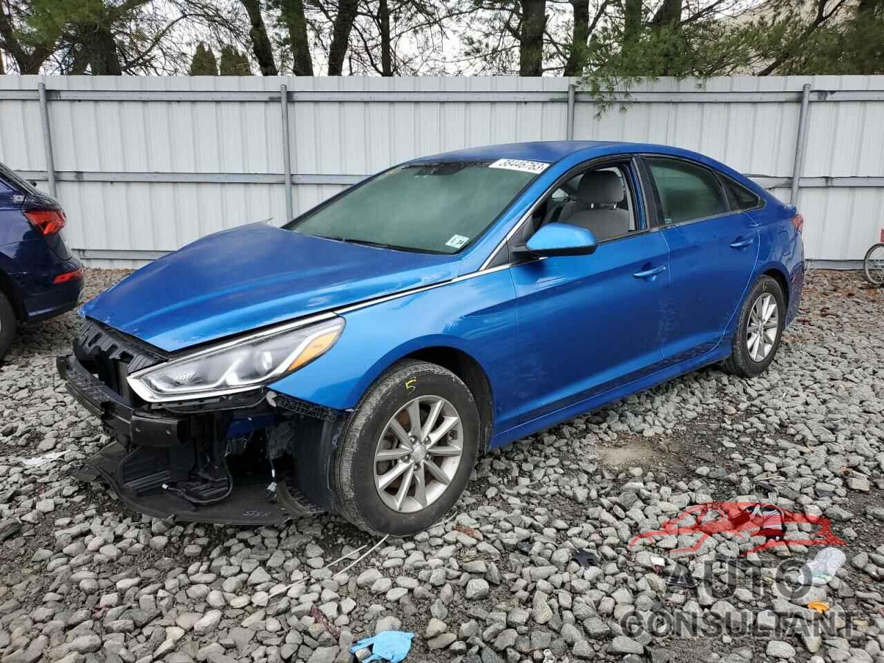 HYUNDAI SONATA 2019 - 5NPE24AFXKH757293