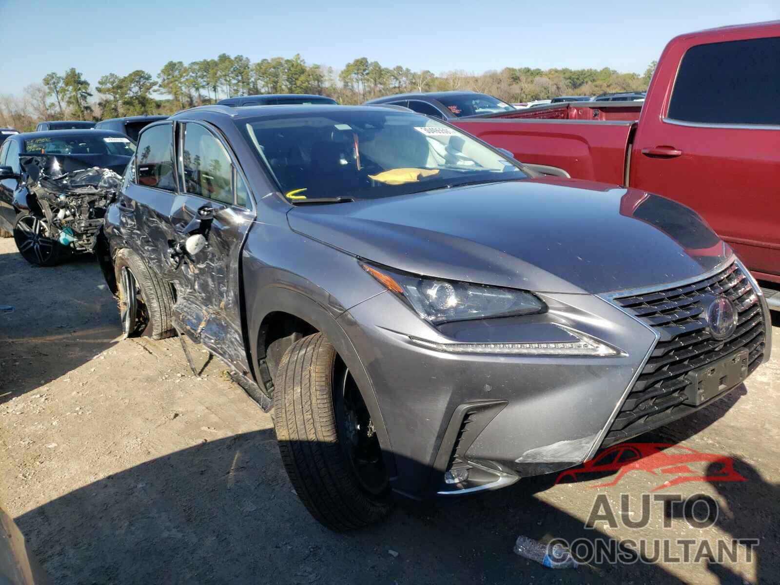 LEXUS NX 2020 - JTJGJRDZ1L2135082