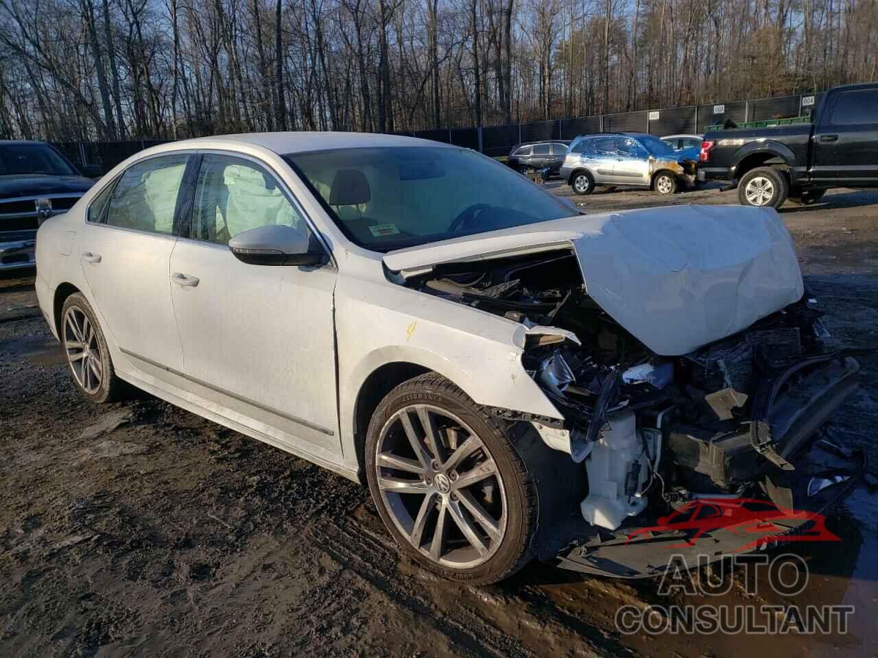 VOLKSWAGEN PASSAT 2016 - 1VWAT7A30GC037245