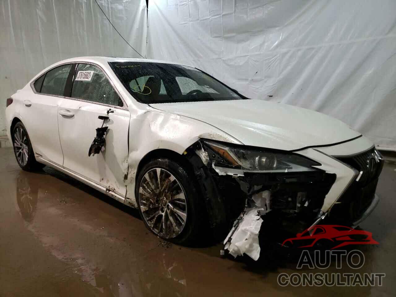 LEXUS ES300 2021 - 58ADA1C17MU007622