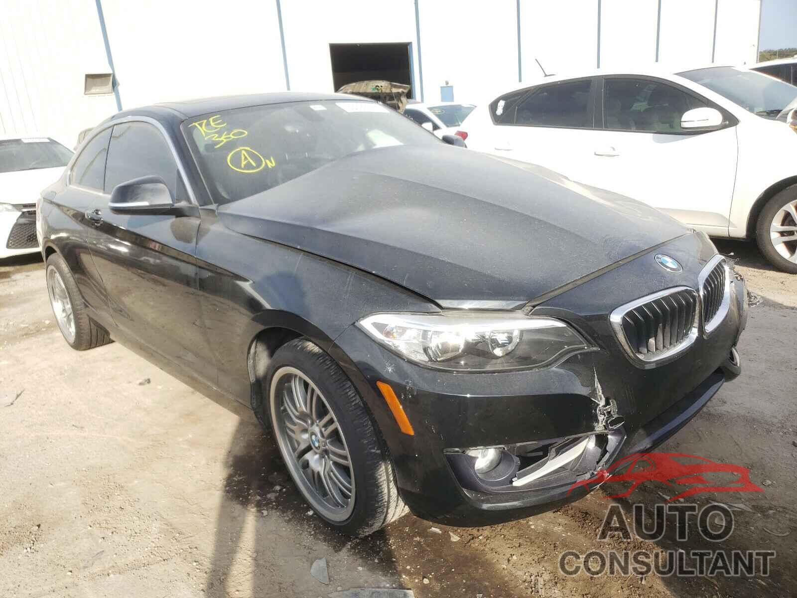 BMW 2 SERIES 2016 - WBA1F9C53GV742367