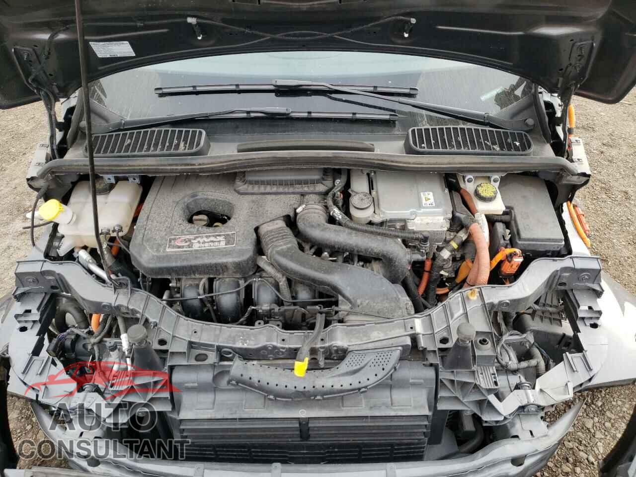 FORD CMAX 2017 - 1FADP5EU4HL117246