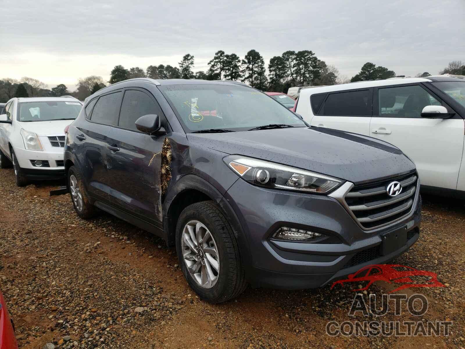 HYUNDAI TUCSON 2016 - KM8J33A4XGU226608