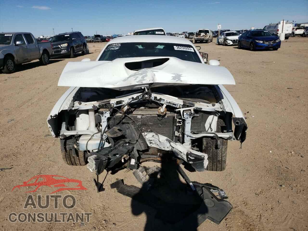 DODGE CHALLENGER 2019 - 2C3CDZBT0KH593858