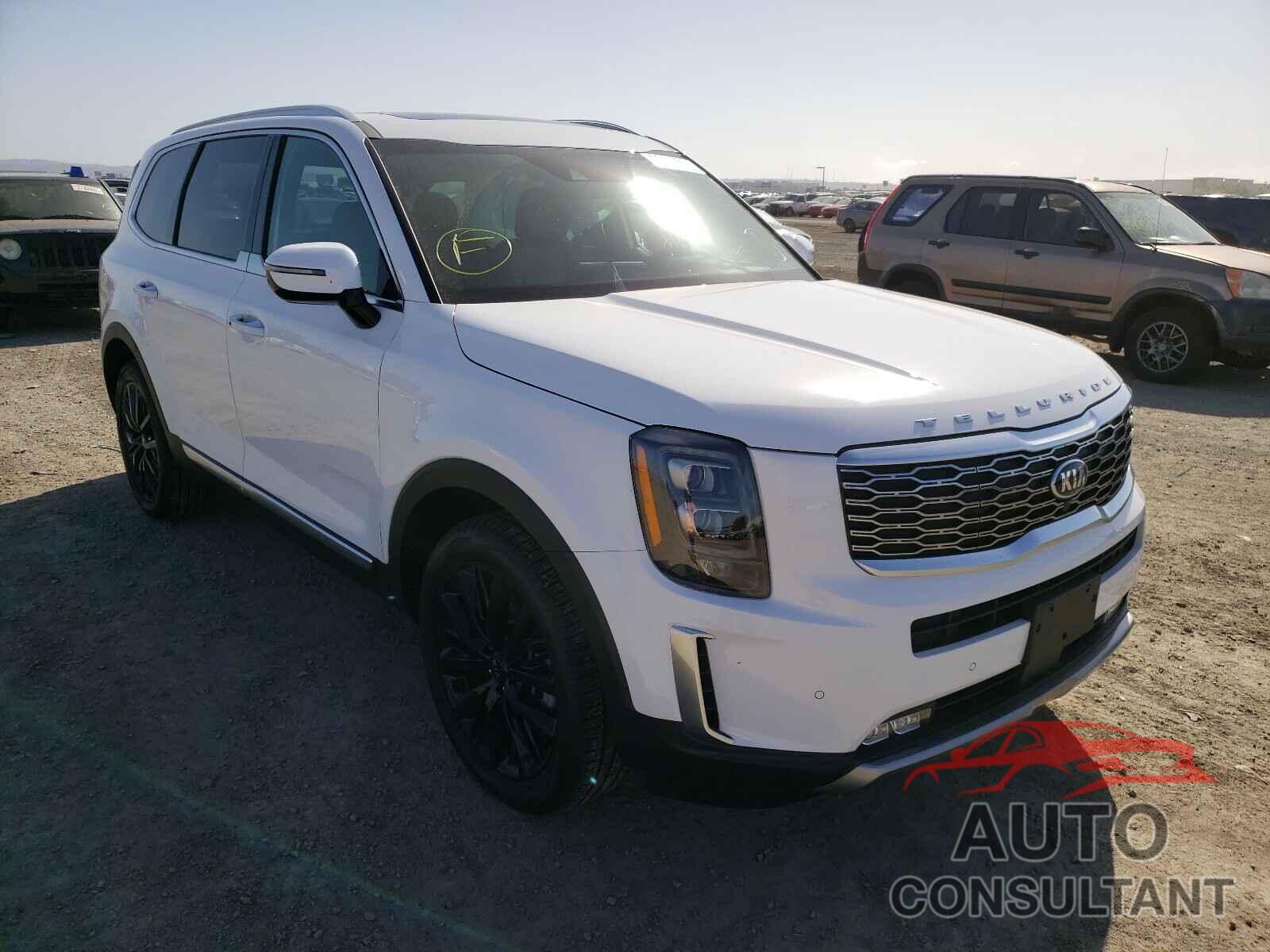 KIA TELLURIDE 2021 - 5XYP54HC3MG137911