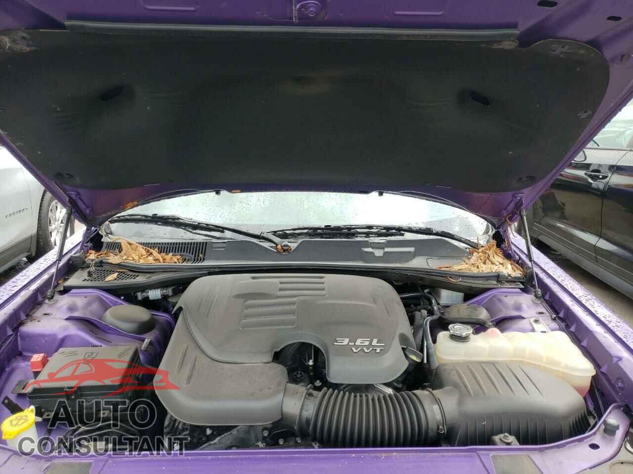 DODGE CHALLENGER 2019 - 2C3CDZAG0KH729233