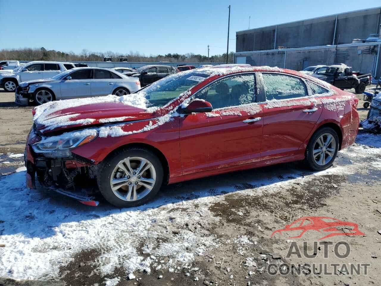 HYUNDAI SONATA 2019 - 5NPE34AF1KH795024