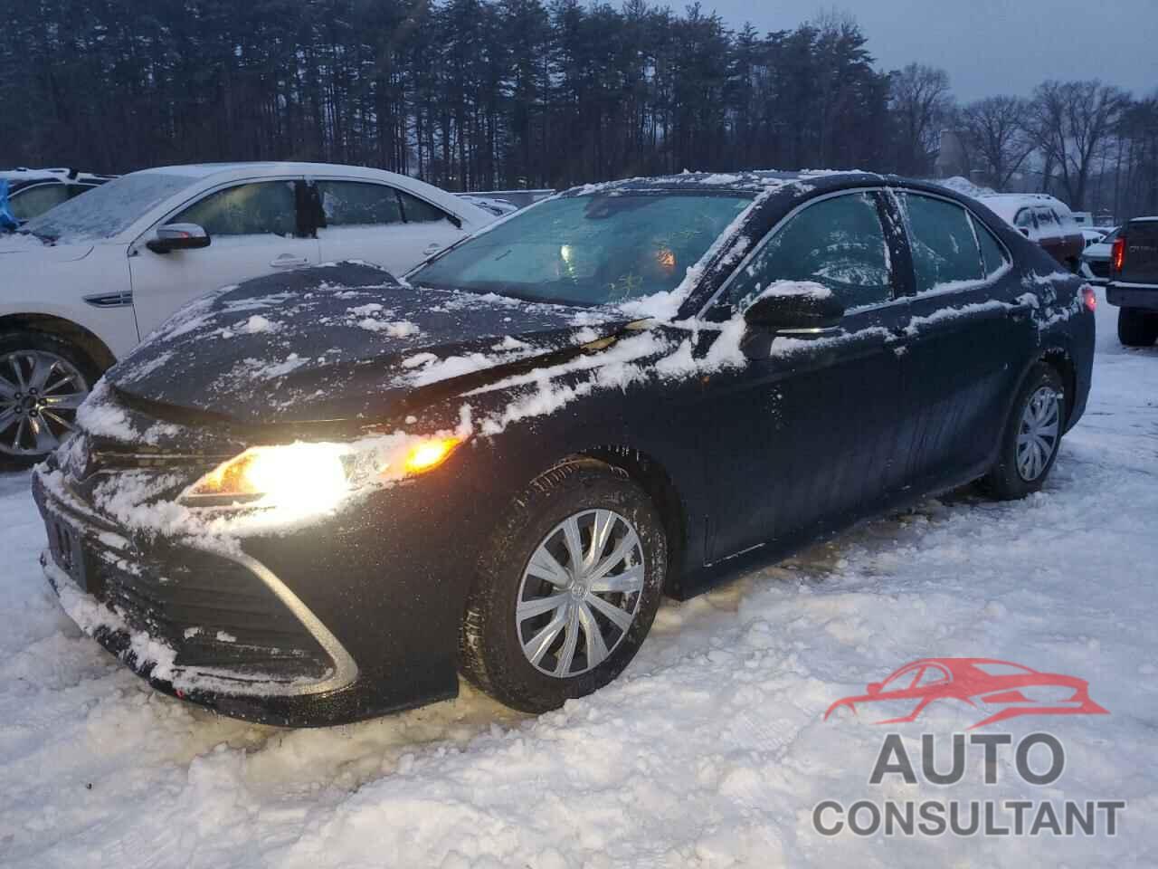 TOYOTA CAMRY 2023 - 4T1C31AK7PU603732