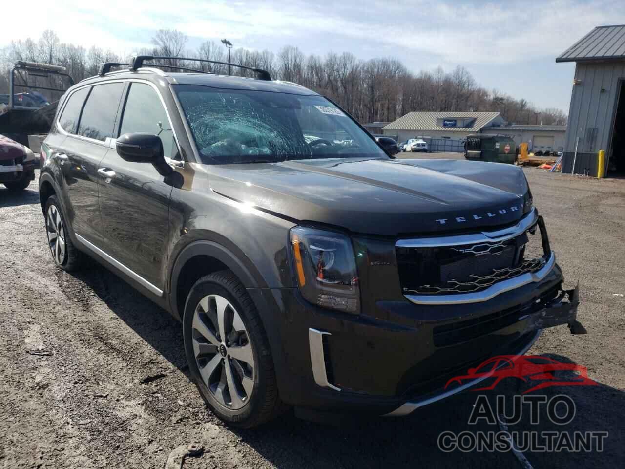 KIA TELLURIDE 2020 - 5XYP6DHC3LG036394