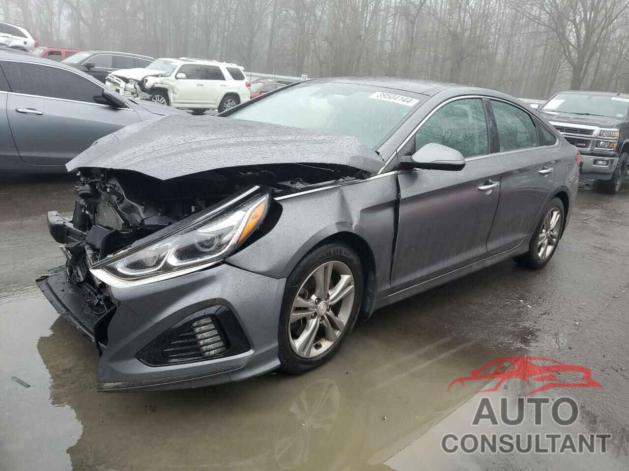 HYUNDAI SONATA 2019 - 5NPE34AFXKH811835