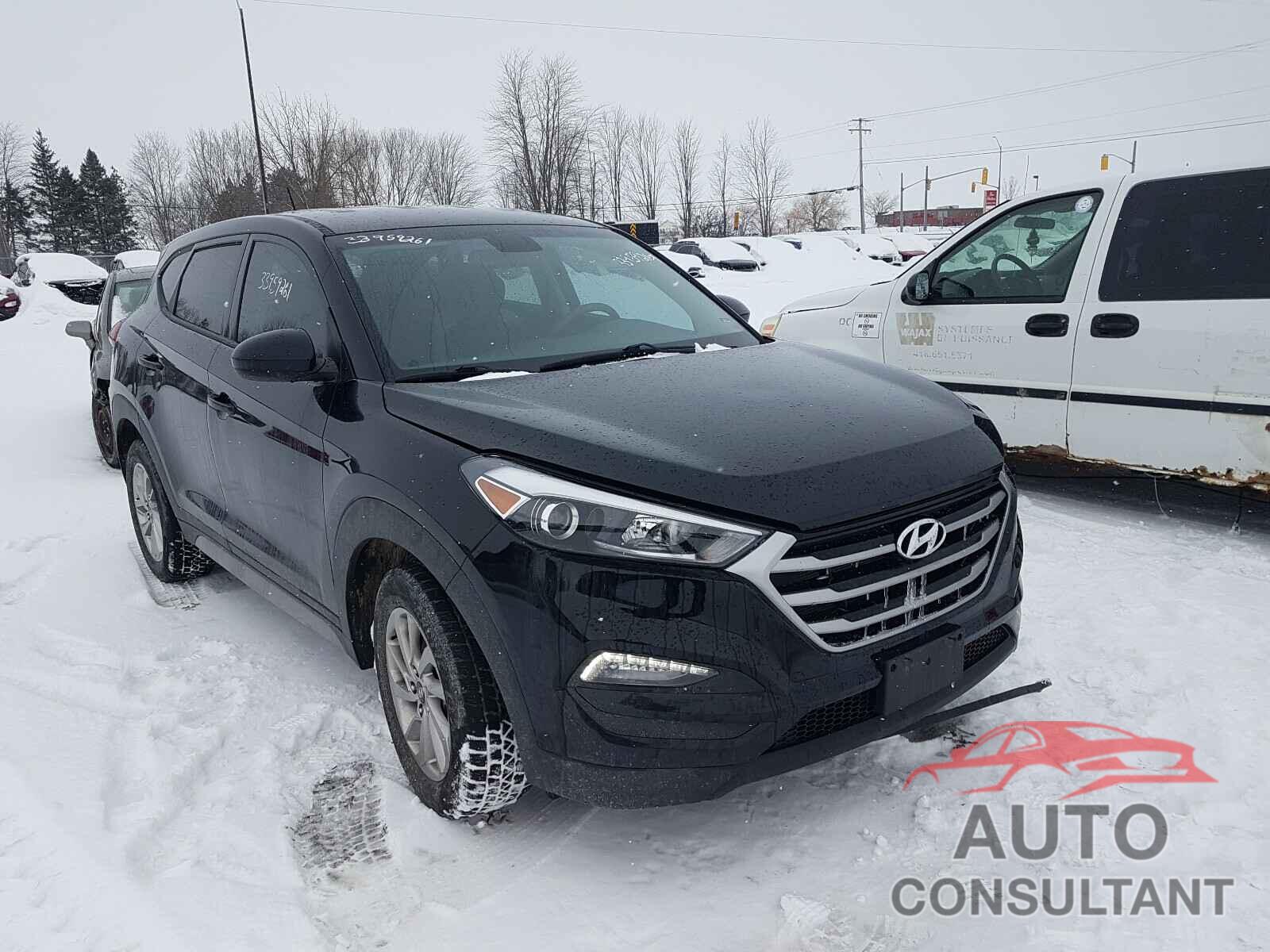 HYUNDAI TUCSON 2017 - KM8J2CA48HU559491
