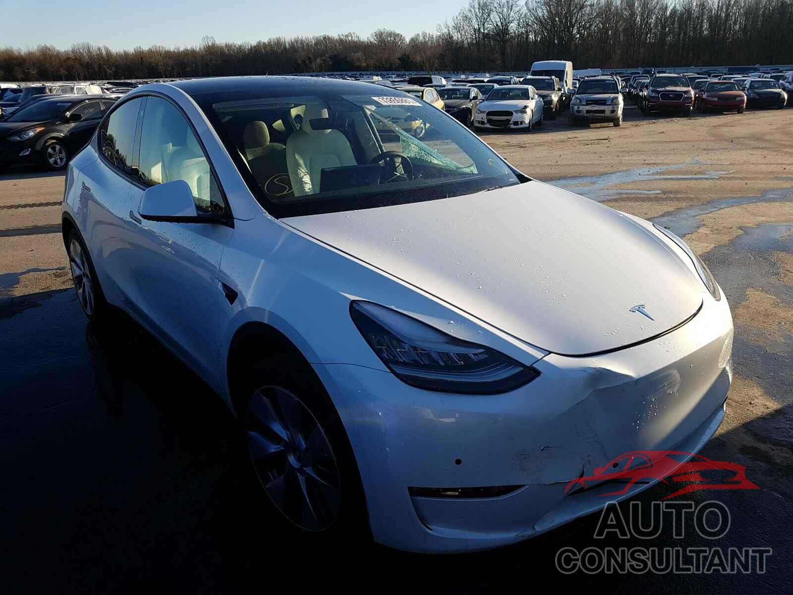 TESLA MODEL Y 2021 - 5YJYGDEE9MF085597
