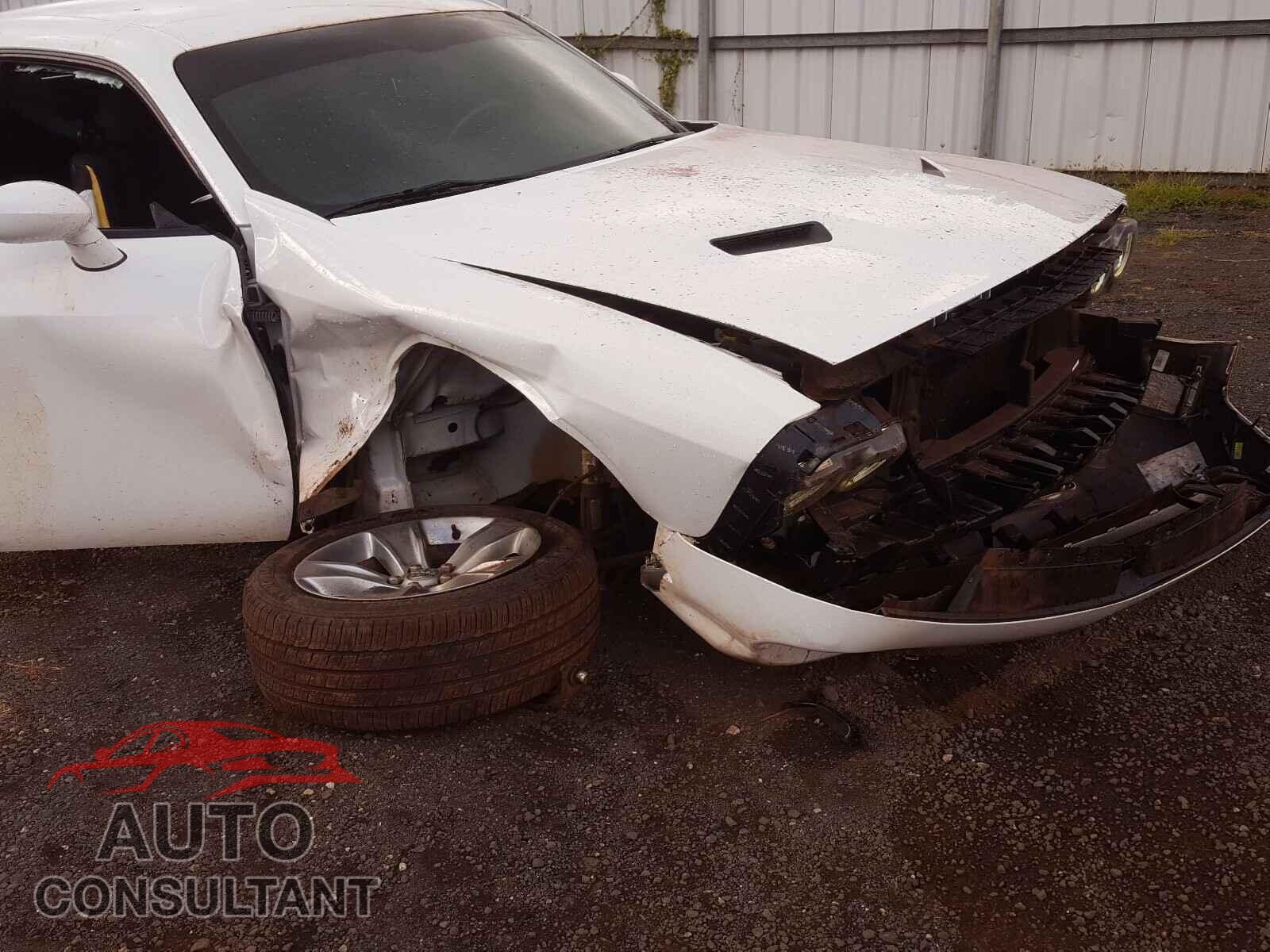 DODGE CHALLENGER 2019 - 2C3CDZAG3KH719022