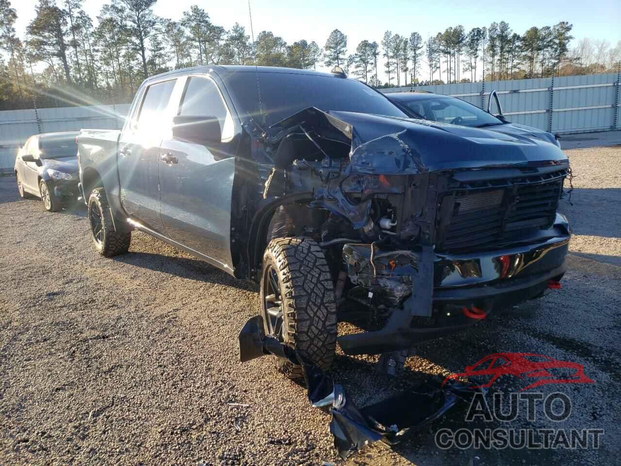 CHEVROLET SILVERADO 2020 - 1GCPYFEL5LZ306947