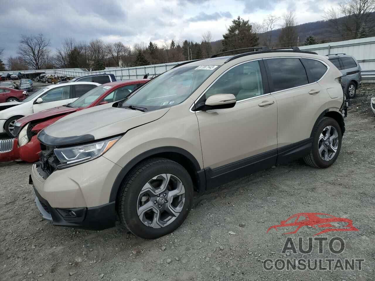 HONDA CRV 2019 - 2HKRW2H57KH644294