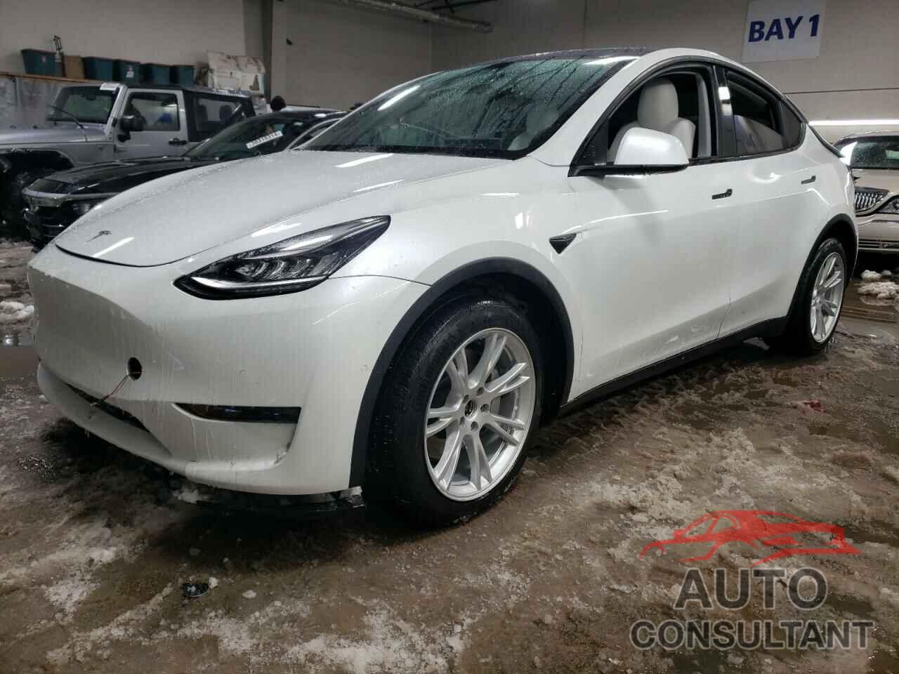 TESLA MODEL Y 2020 - 5YJYGDEE9LF032610