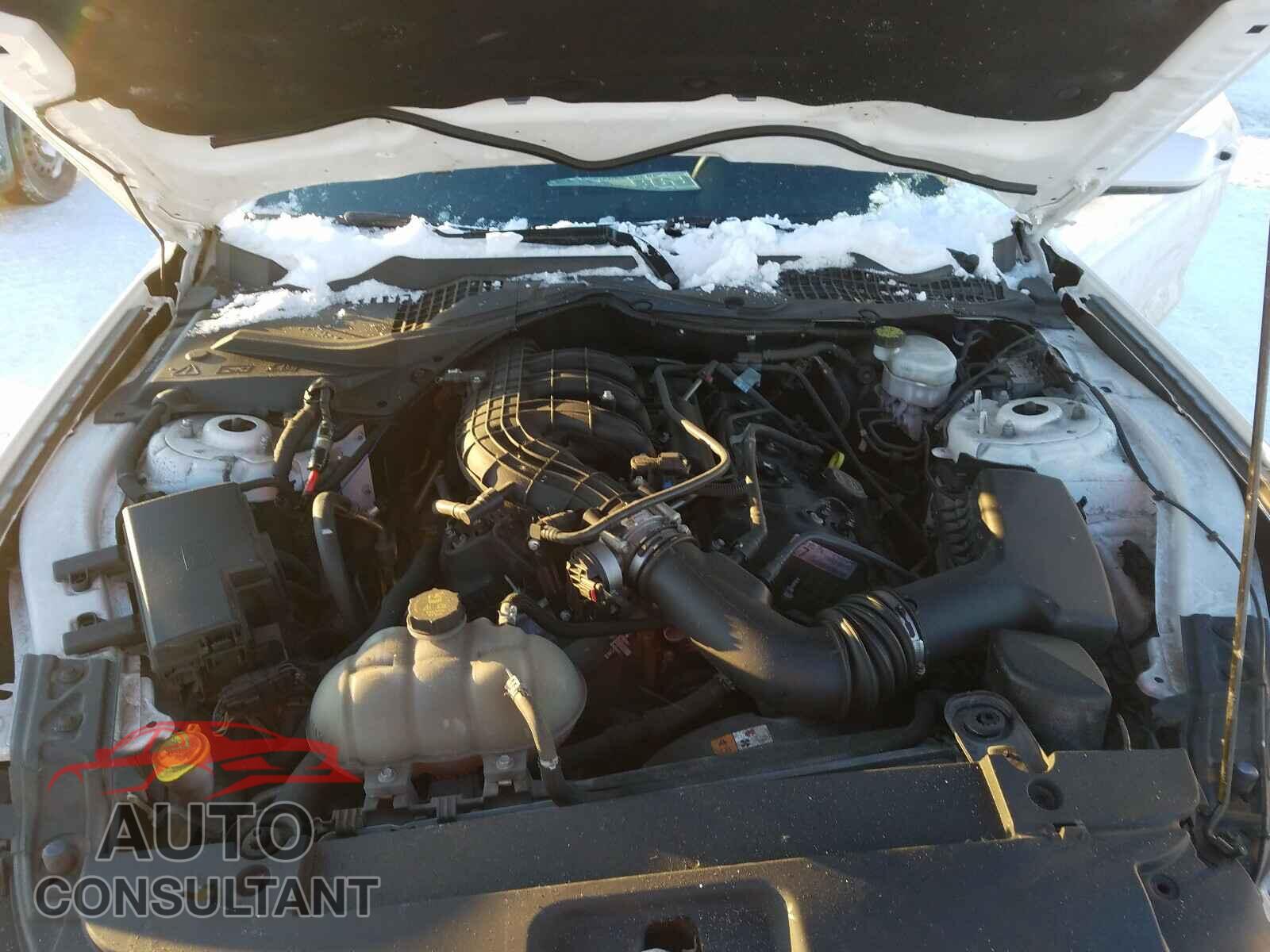 FORD MUSTANG 2017 - 1FA6P8AM6H5299004
