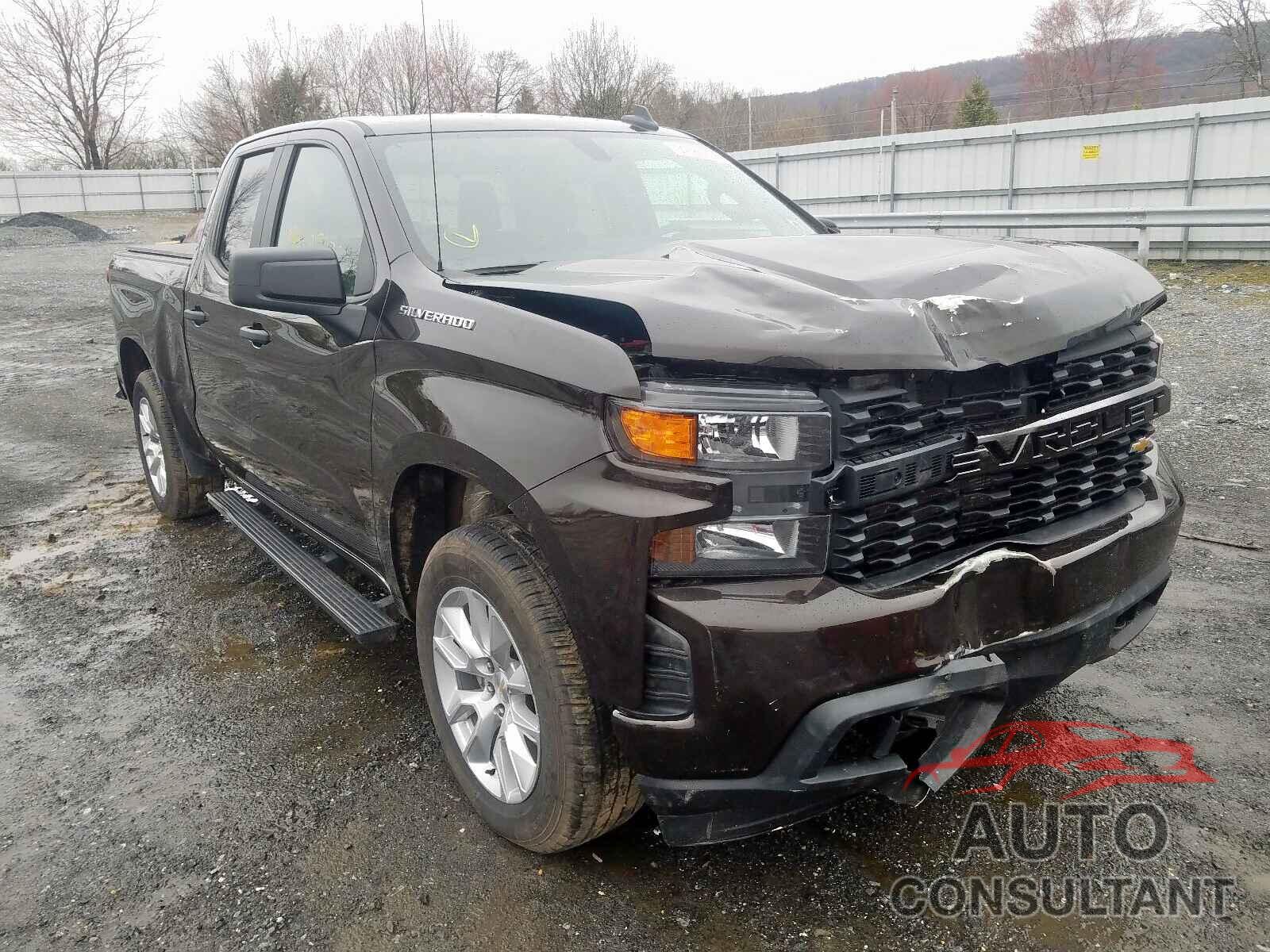 CHEVROLET SILVERADO 2019 - JTMEWRFV8LD545128