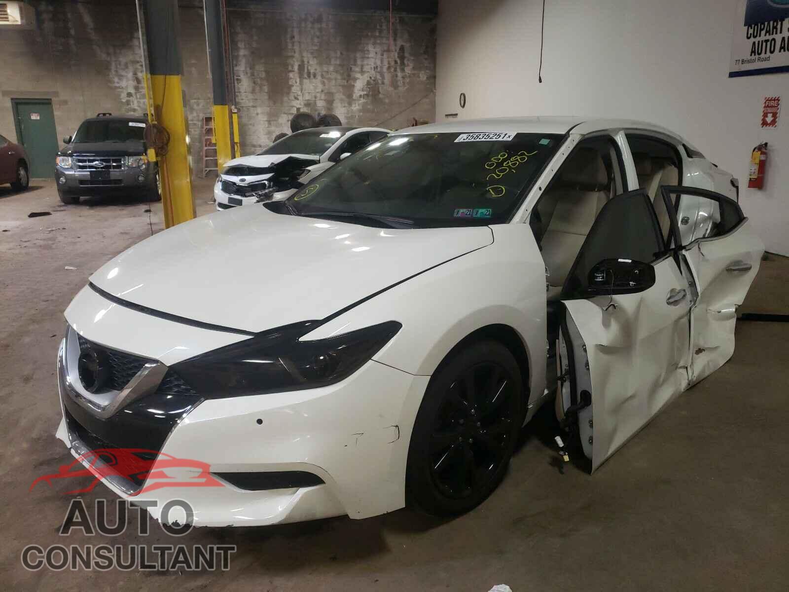NISSAN MAXIMA 2017 - 1N4AA6AP6HC439655