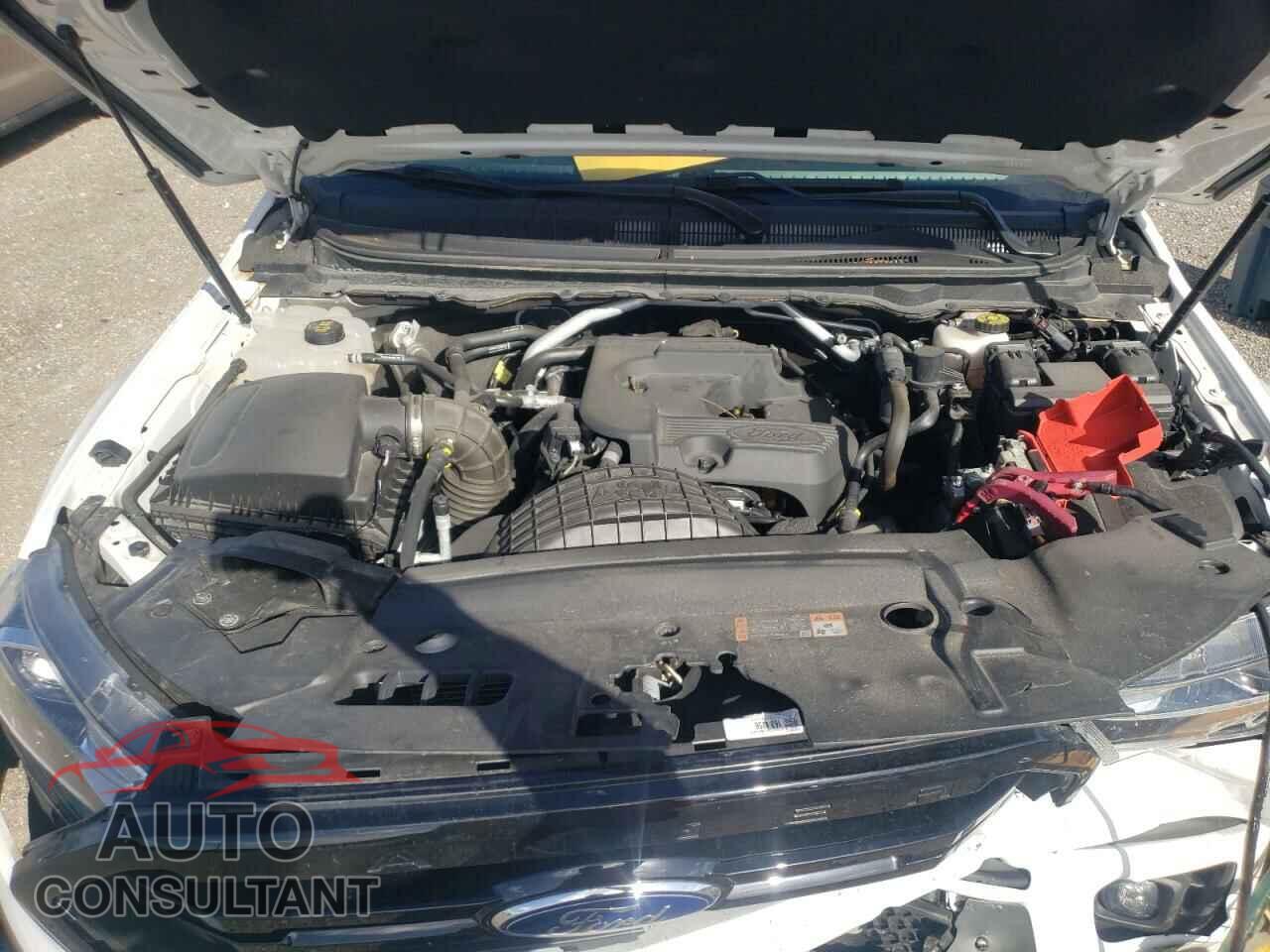 FORD RANGER 2019 - 1FTER4FHXKLA57789