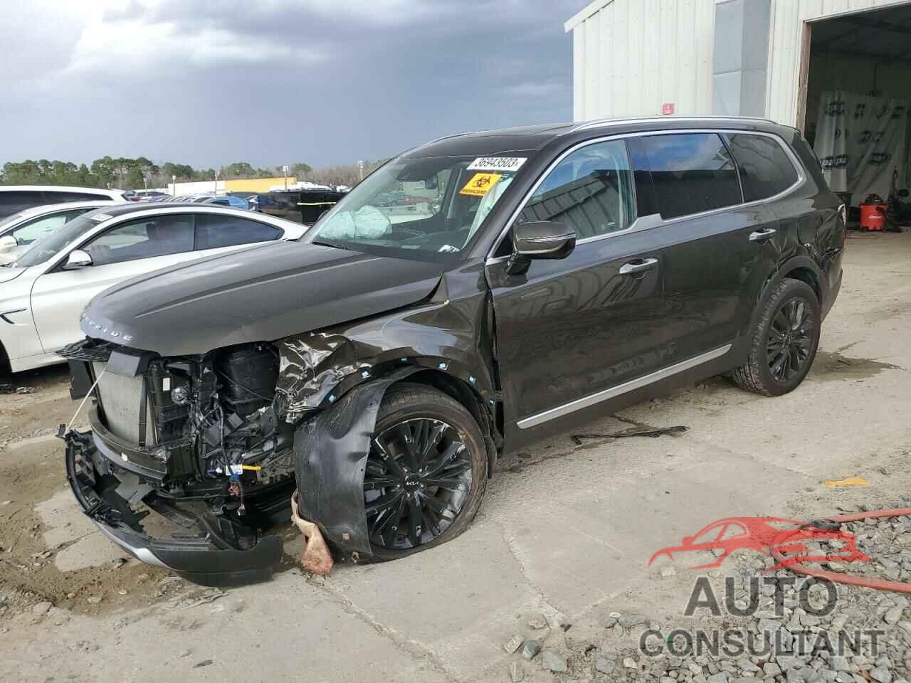 KIA TELLURIDE 2022 - 5XYP5DHCXNG256816