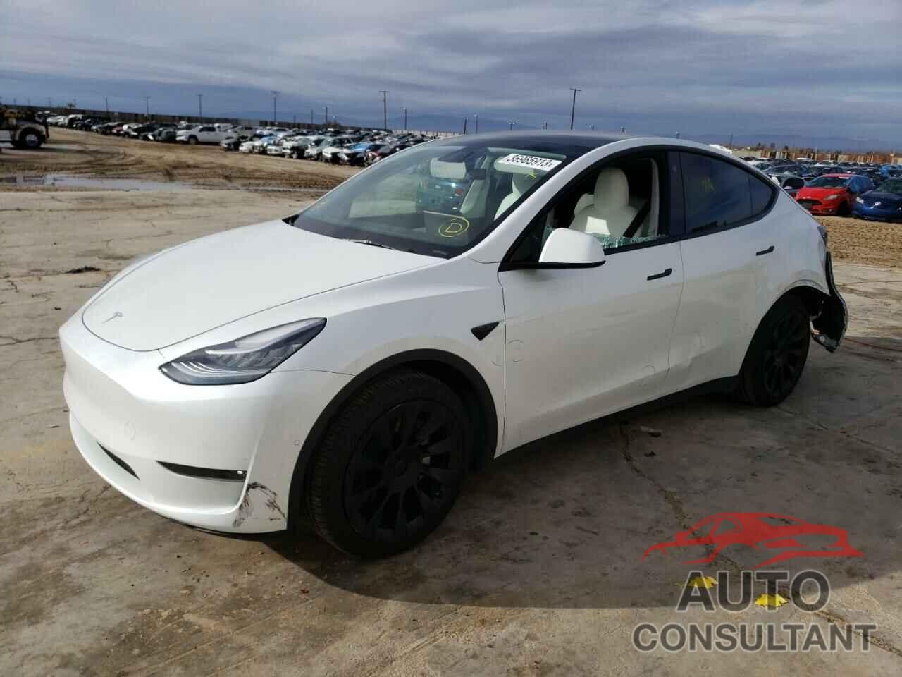TESLA MODEL Y 2021 - 5YJYGAEE8MF222429