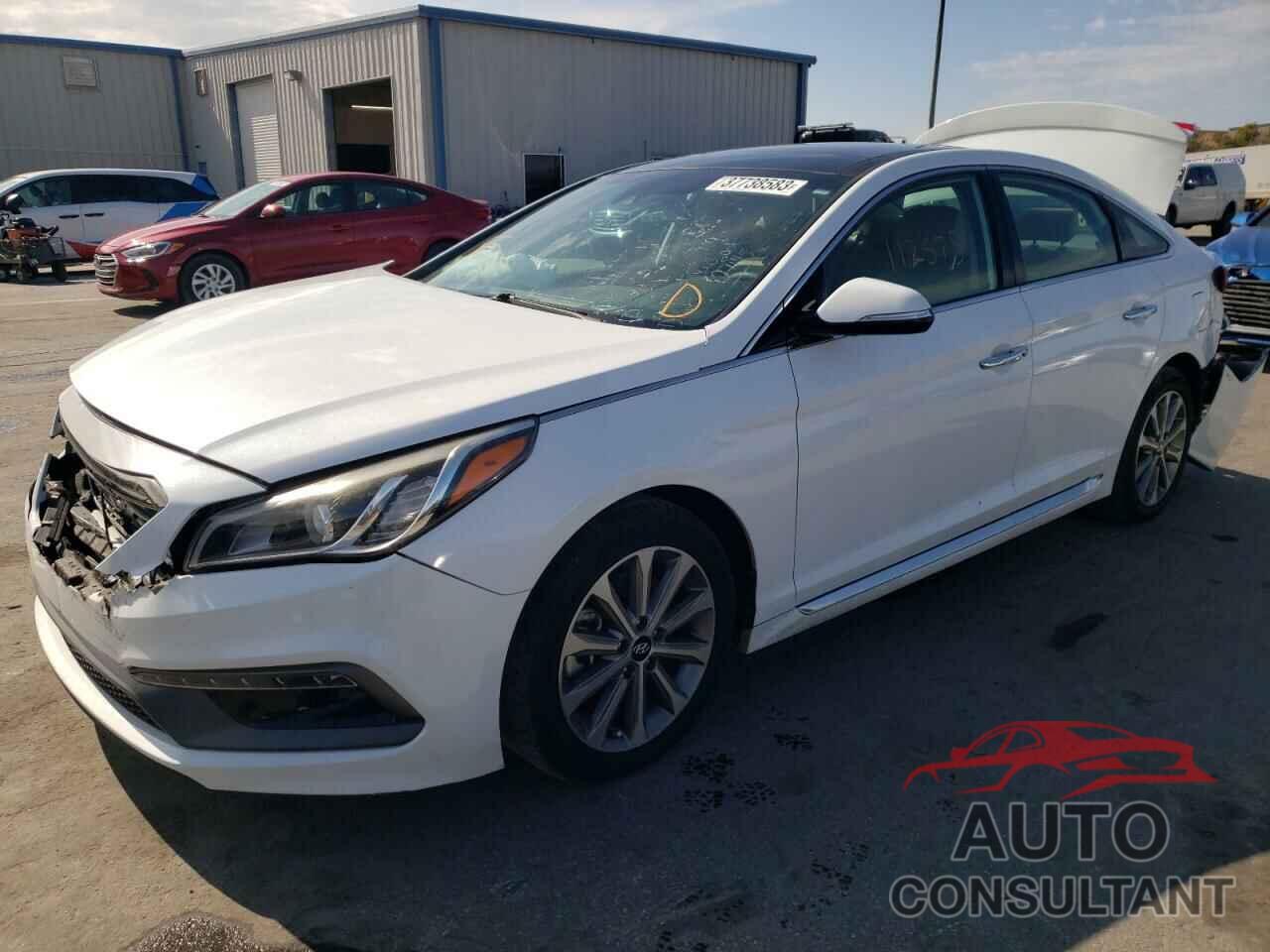 HYUNDAI SONATA 2016 - 5NPE34AF1GH325809