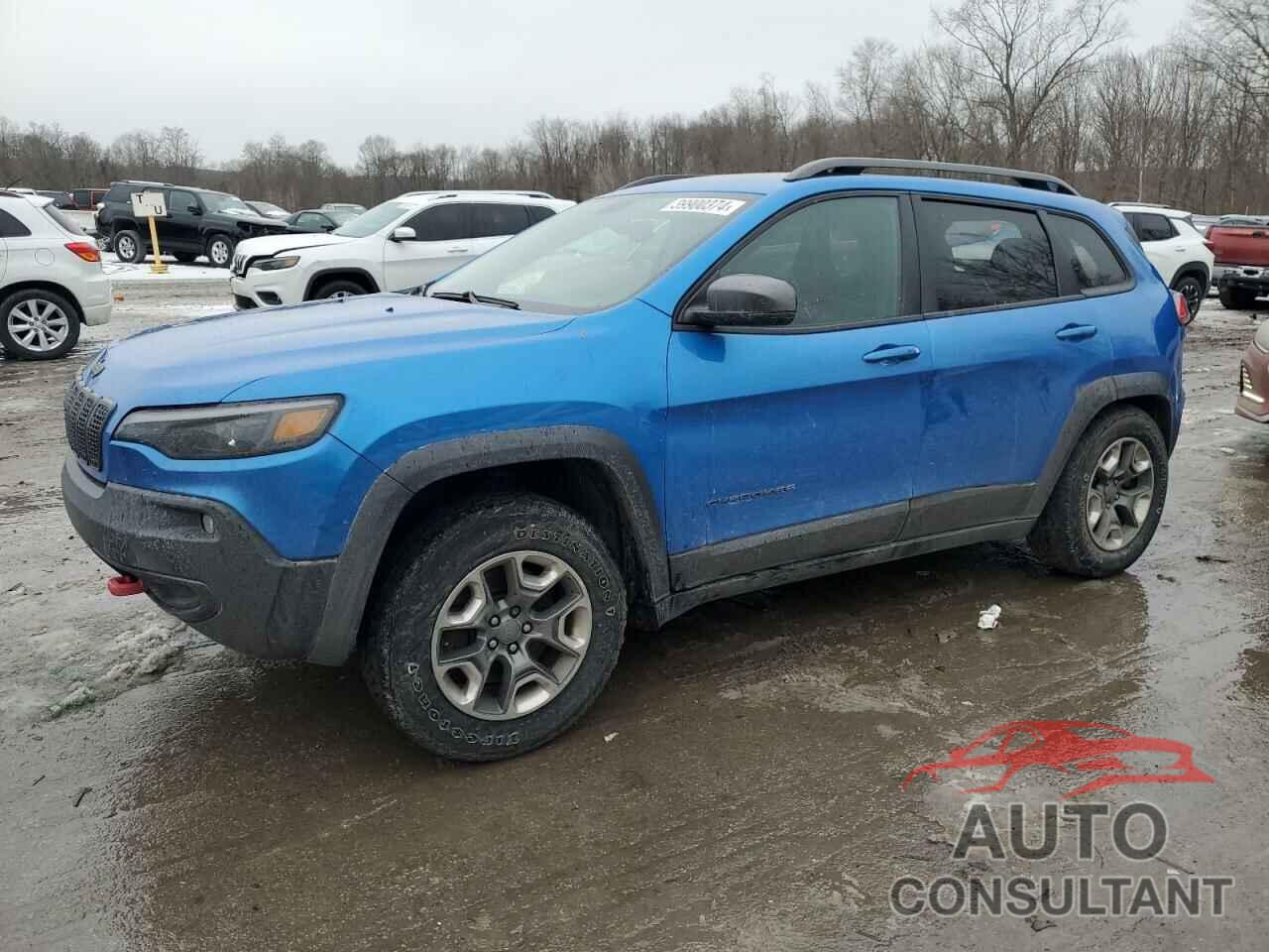 JEEP CHEROKEE 2019 - 1C4PJMBX6KD170095