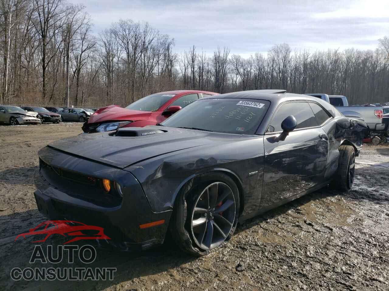 DODGE CHALLENGER 2019 - 2C3CDZBT8KH521709