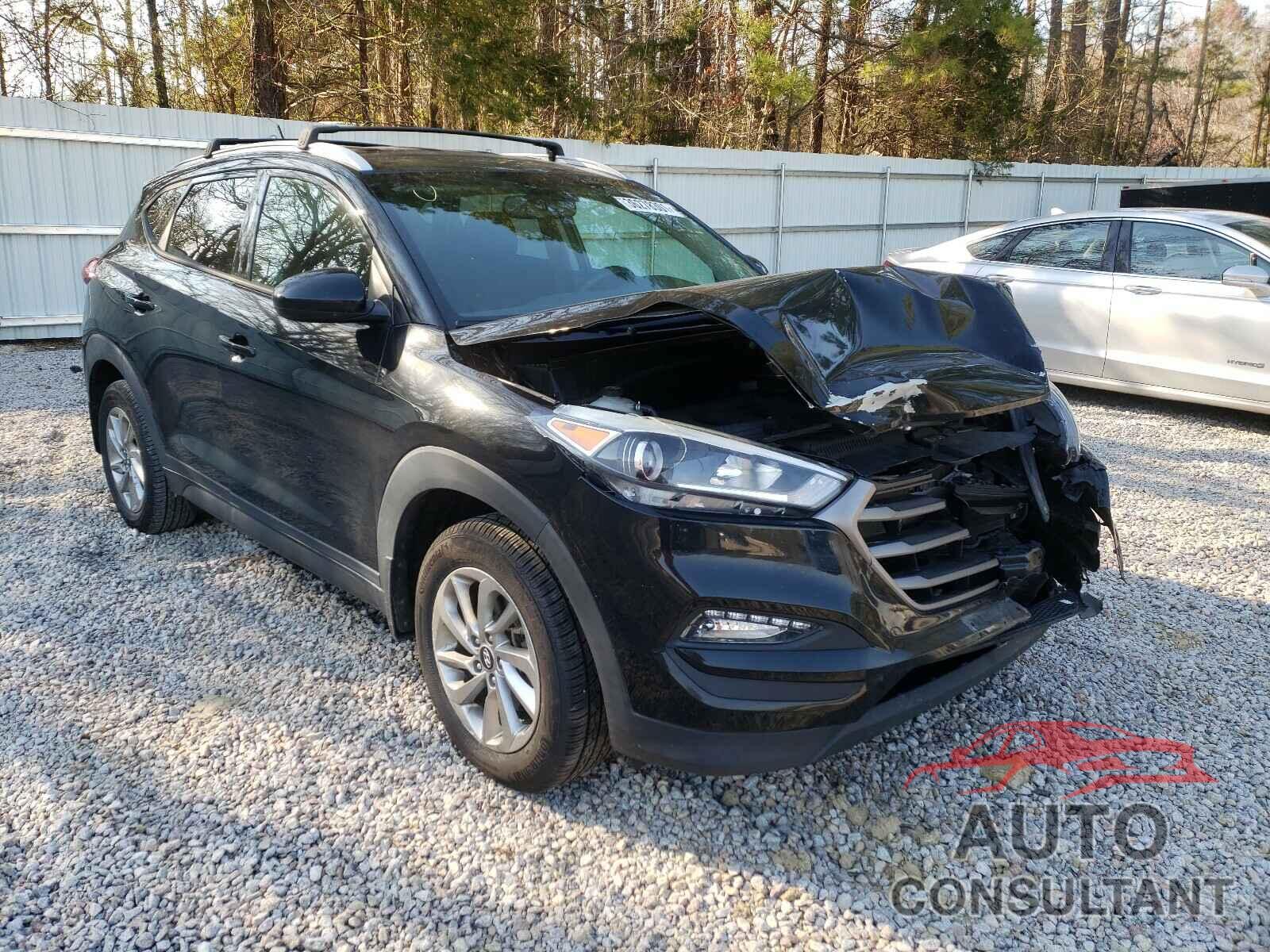 HYUNDAI TUCSON 2016 - KM8J33A41GU197564