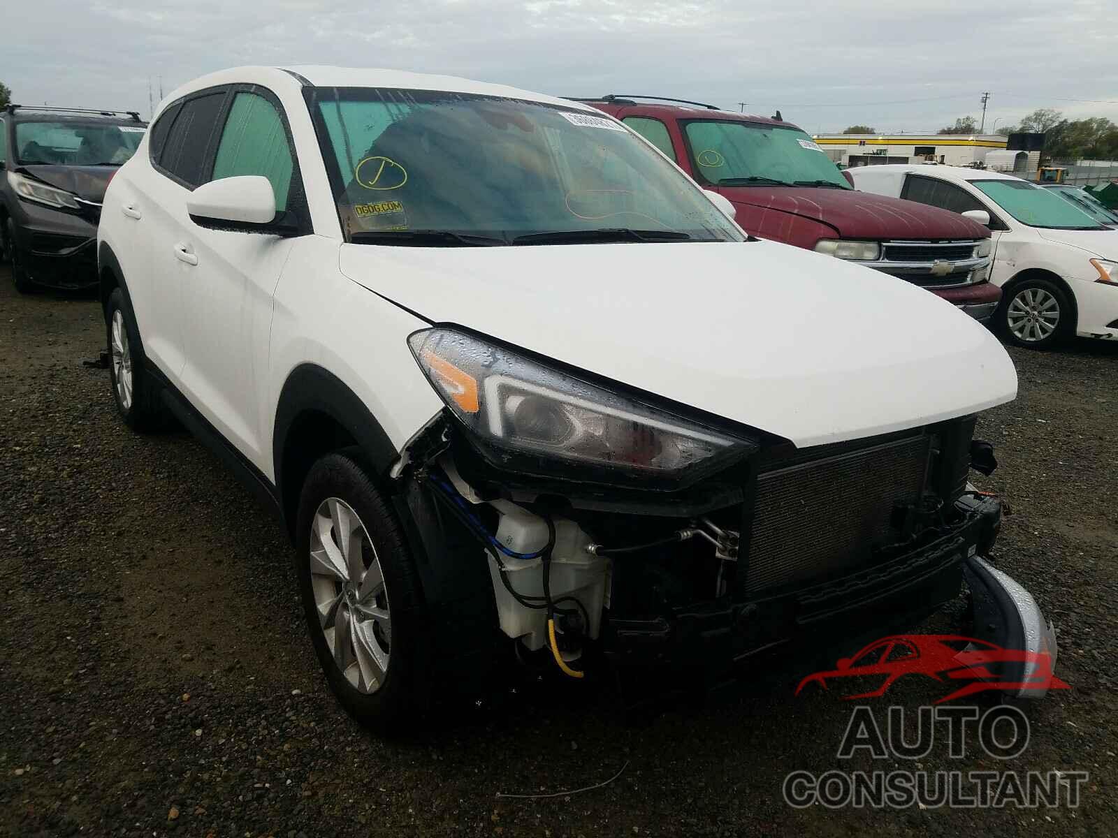 HYUNDAI TUCSON 2019 - KM8J23A49KU026993