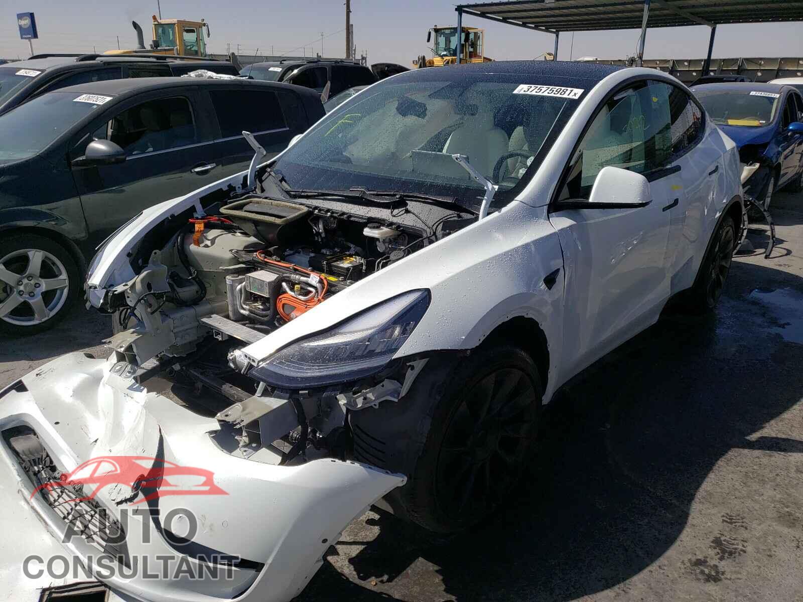 TESLA MODEL Y 2021 - 5YJYGDEE1MF068535