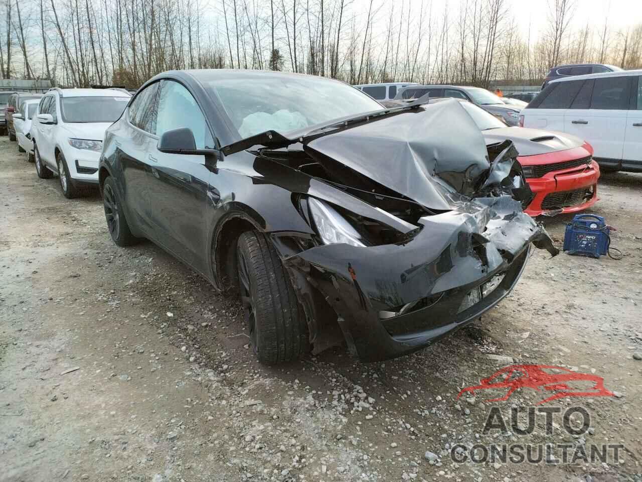 TESLA MODEL Y 2021 - 5YJYGDEEXMF183103
