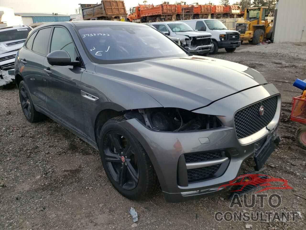 JAGUAR F-PACE 2019 - SADCL2FX9KA366187