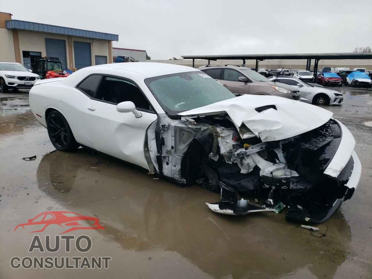 DODGE CHALLENGER 2019 - 2C3CDZAG9KH733460