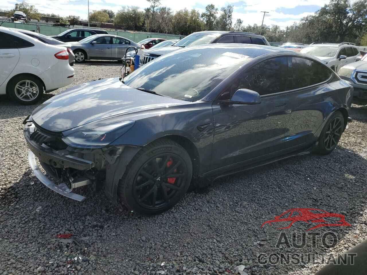 TESLA MODEL 3 2021 - 5YJ3E1EA7MF092625