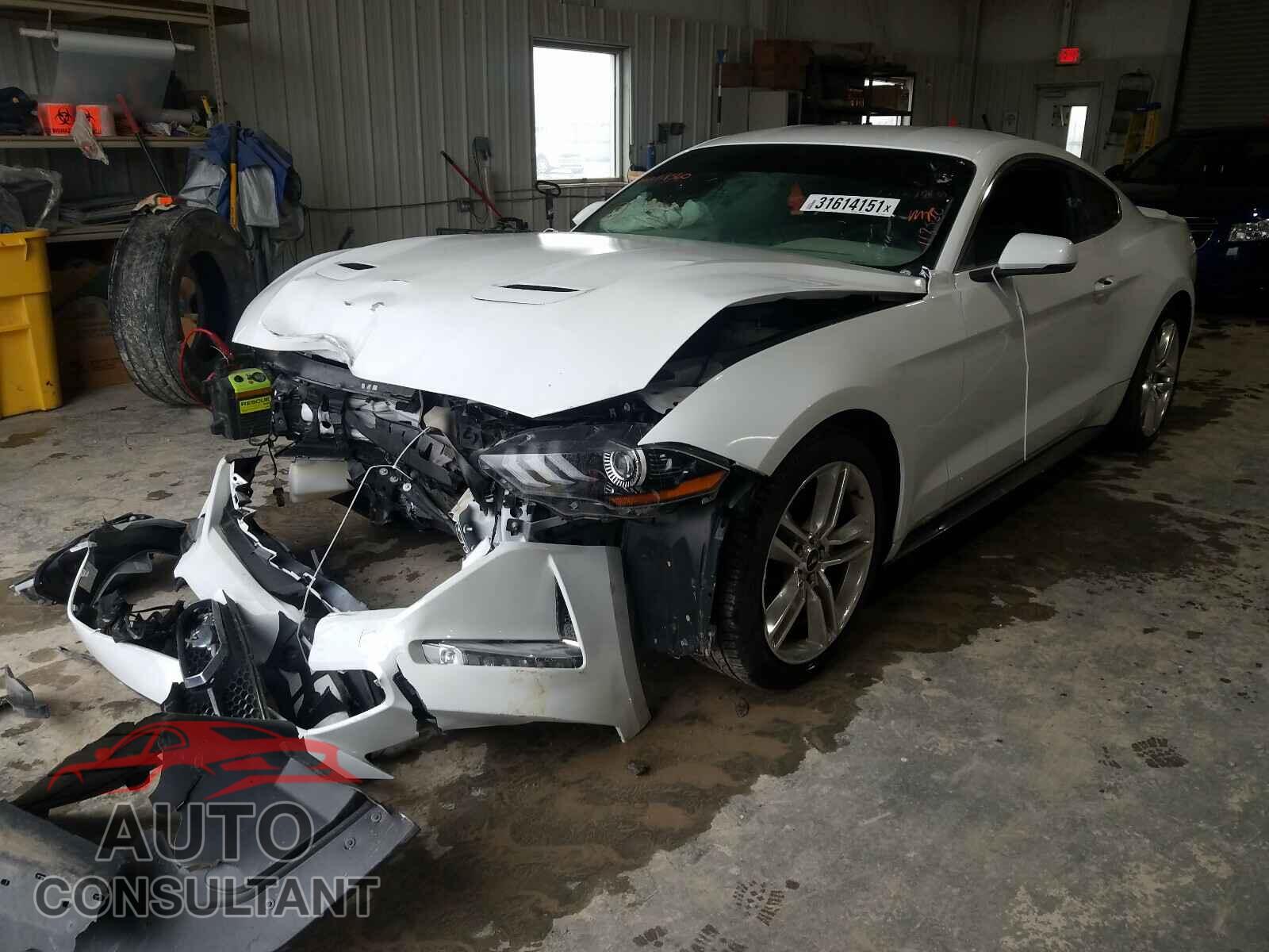 FORD MUSTANG 2019 - 1FA6P8THXK5118560