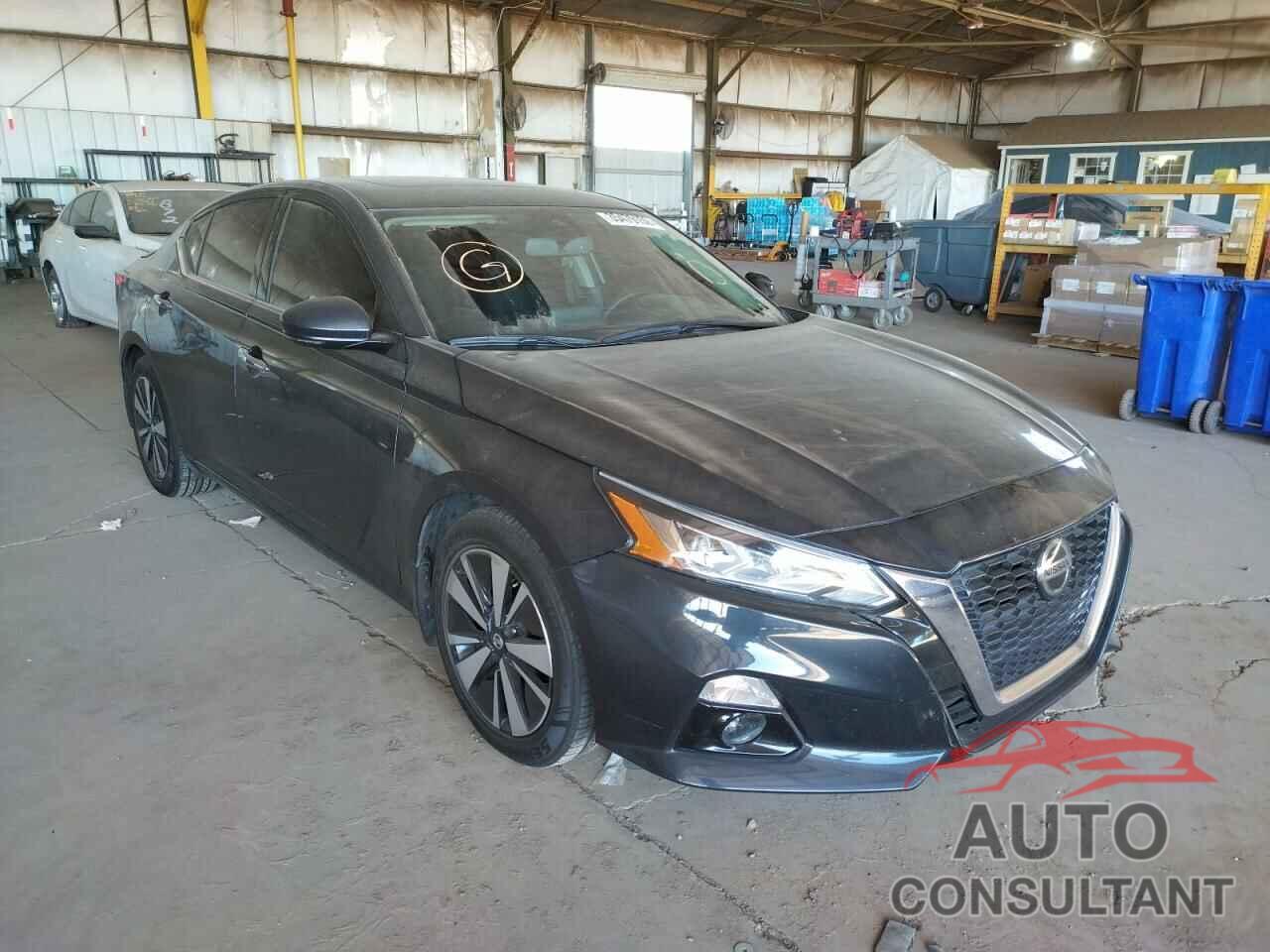 NISSAN ALTIMA SV 2019 - 1N4BL4DVXKC148113